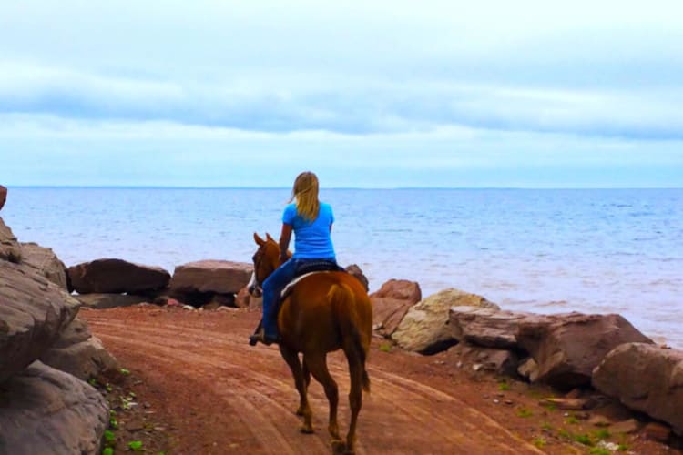 Horseback riding